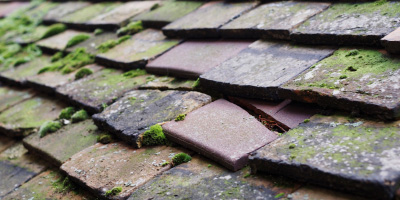 Ashcombe roof repair costs